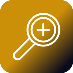 zoom controls